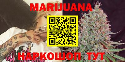 индика Бийск