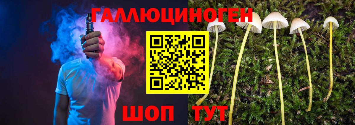 Галлюциногенные грибы Psilocybe  где купить наркотик  Донской  Вход с VPN 